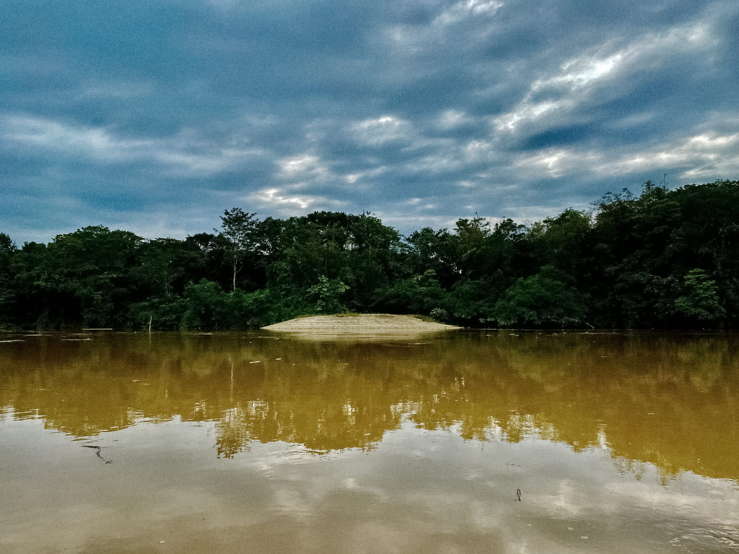 “Cuerpos de Agua” + “Artistic Ecologies”