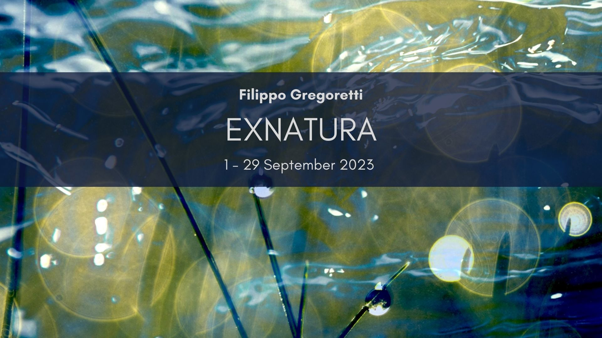 Vernissage: EXNATURA, Filippo Gregoretti