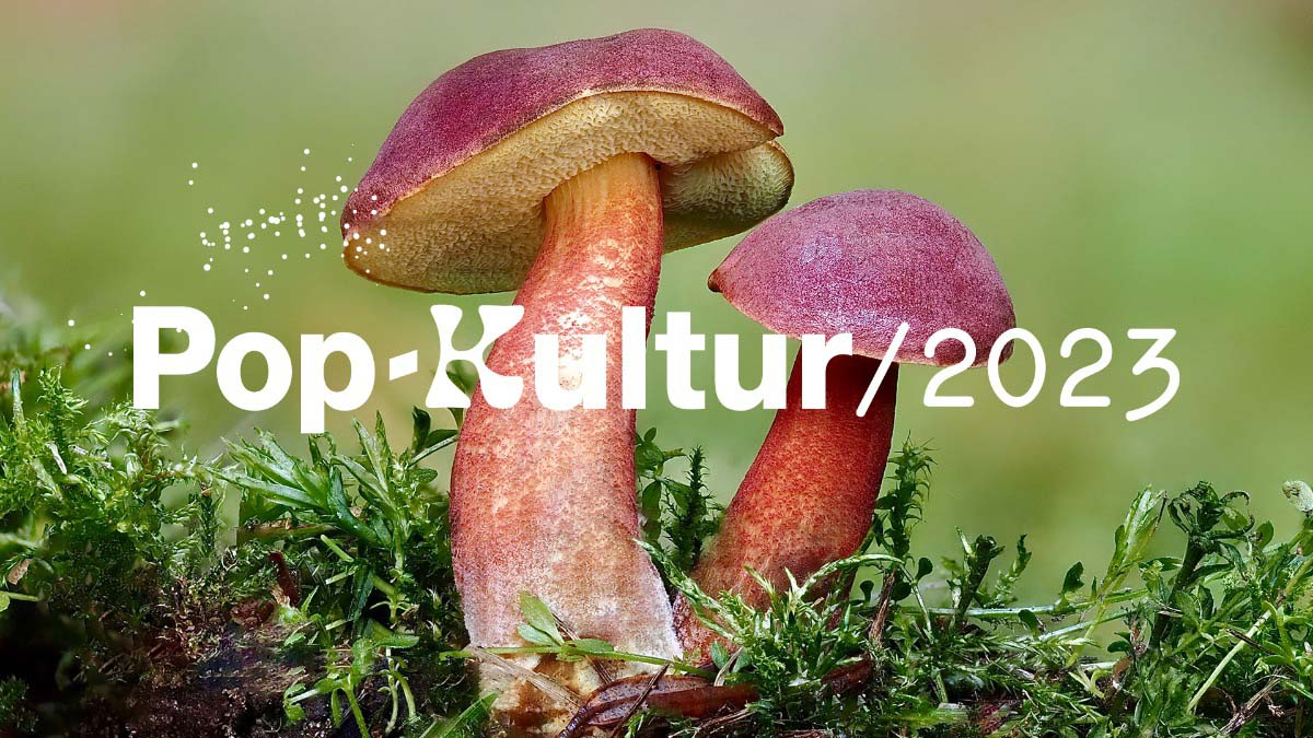 Pop-Kultur 2023: Inklusiv & Barrierefrei