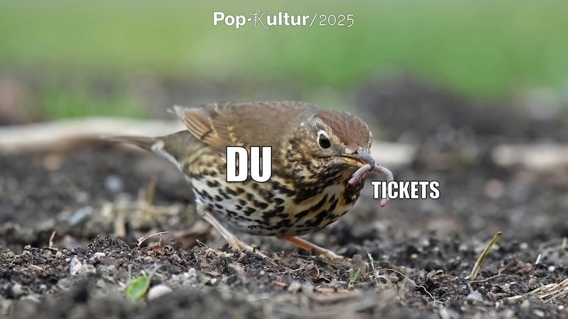 Pop-Kultur Festival 2025: bis 30. August 2025 in Berlin 