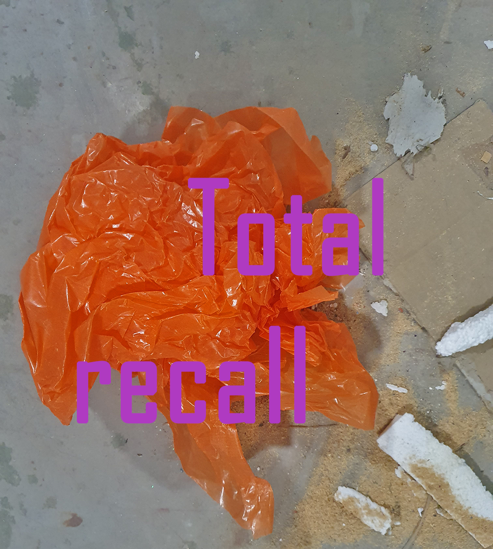 total recall – Gabriele Regiert, Matthias Reinmuth
