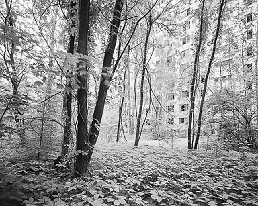 HAUS#1: Half Life Chornobyl von Volker Kreidler