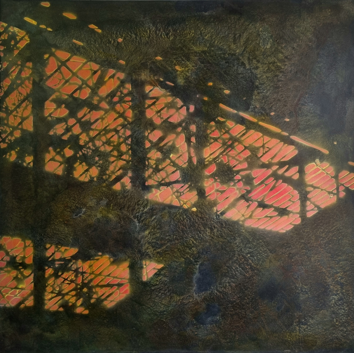 Galerie Schindler: SONNENFLECKEN UND SCHATTENGEWÄCHSE