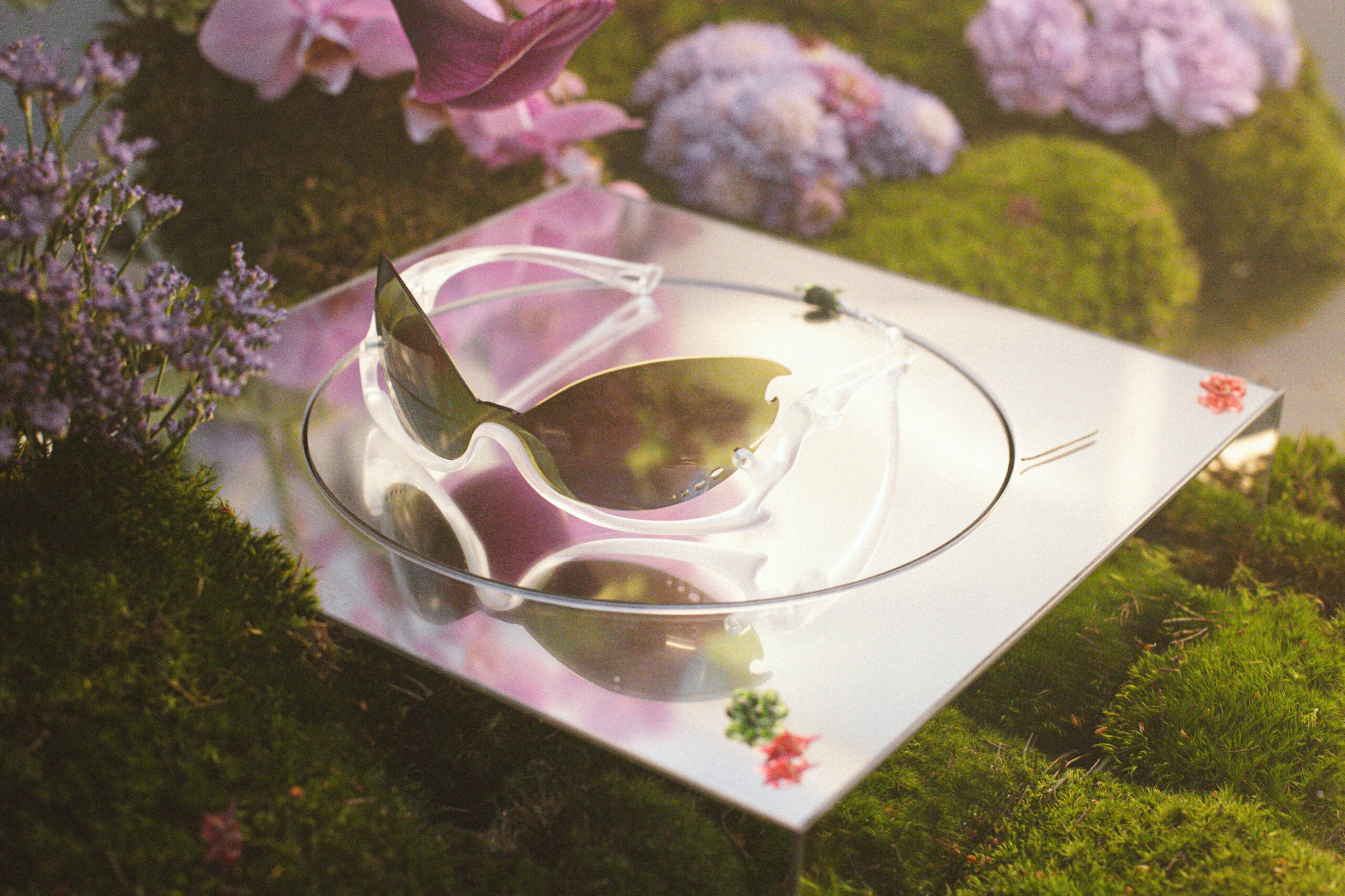 Paloceras – News from Our Favorite eyewear Powerhouse